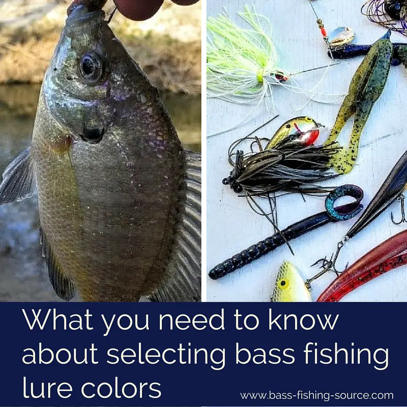 How to select lure colors for largemouth bass fishing